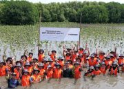 Cegah Abrasi, Tanam 5.000 Mangrove di Pesisir Muara Gembong